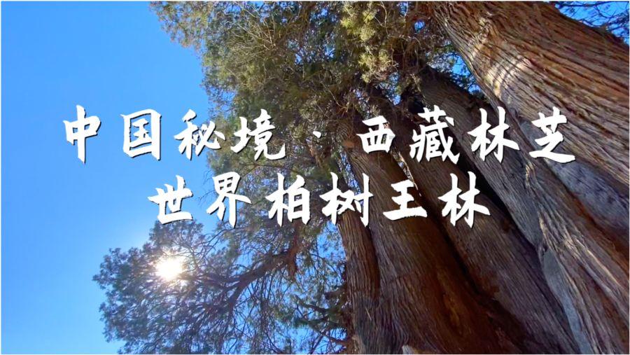 正当防卫3
